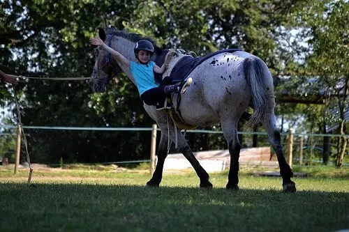 Ferme Equestre Puech Merlhou