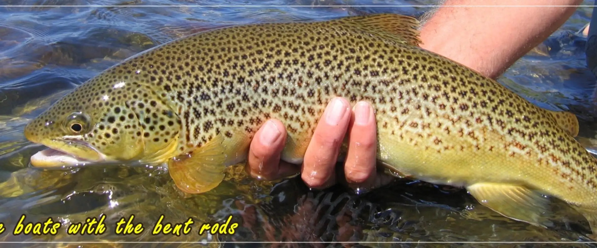 Bow River Hookers Fly Fishing Adventures