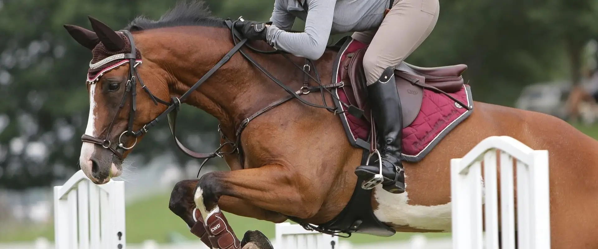 Sydney Jump Club