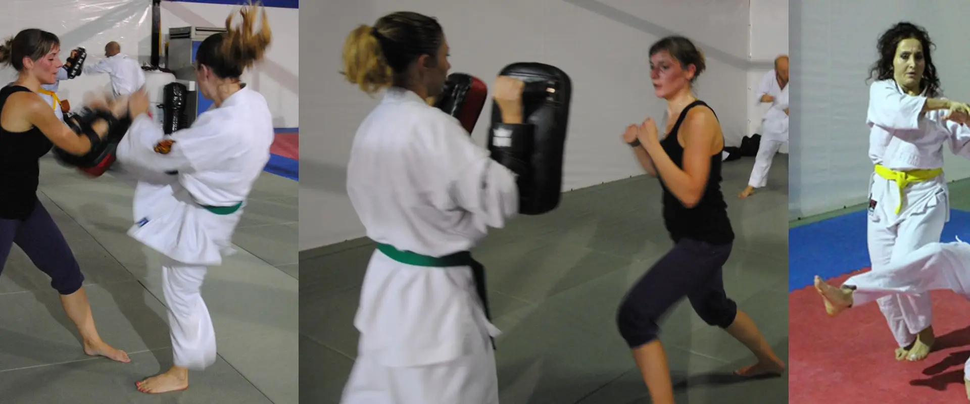 Fukushikan Ryu Club D'art Martial, Self Defense À Colomiers Et Toulouse