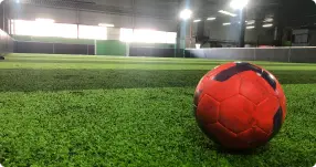 The Park