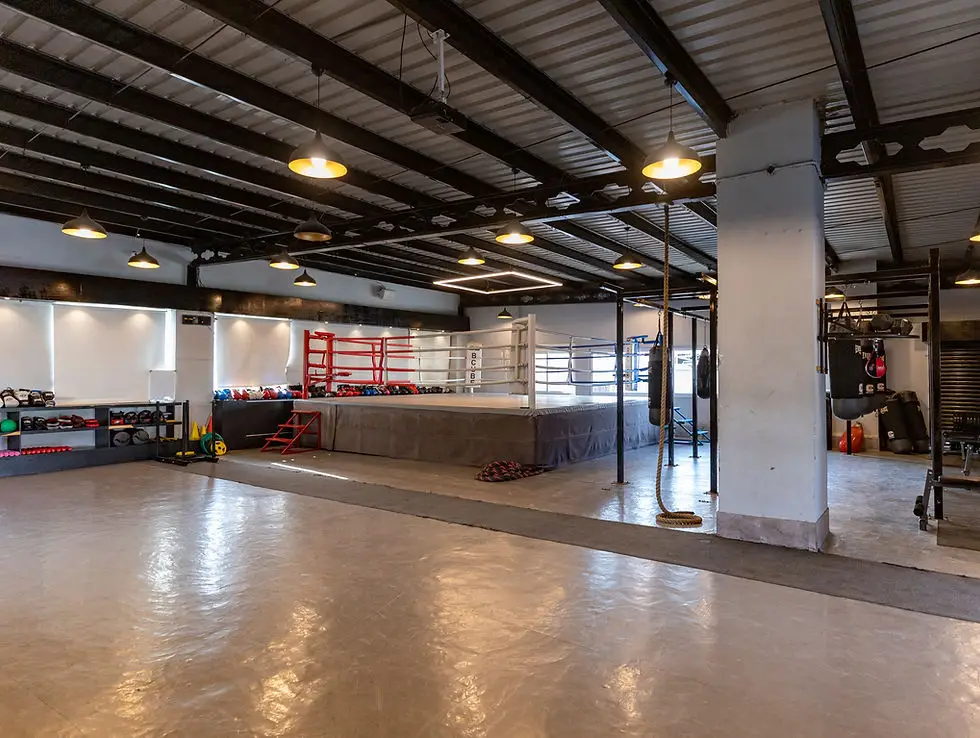 BCUBE Boxing kickboxing MMA Gym