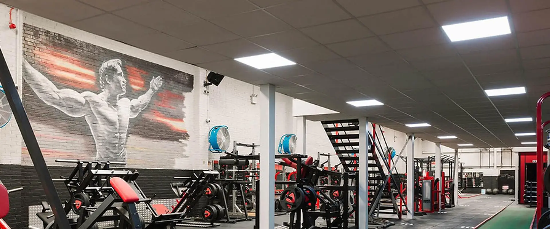 Ab Salute Gym
