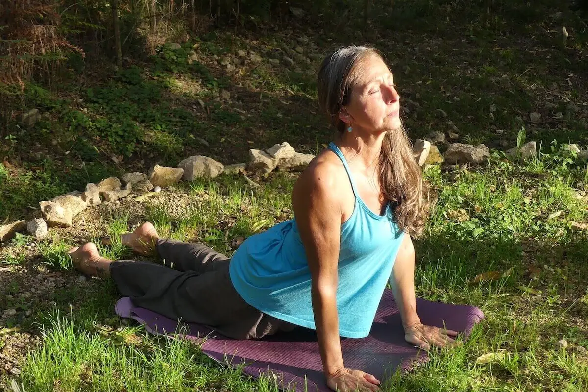 Catherine Meissonnier Professeur De Viniyoga Course In Private