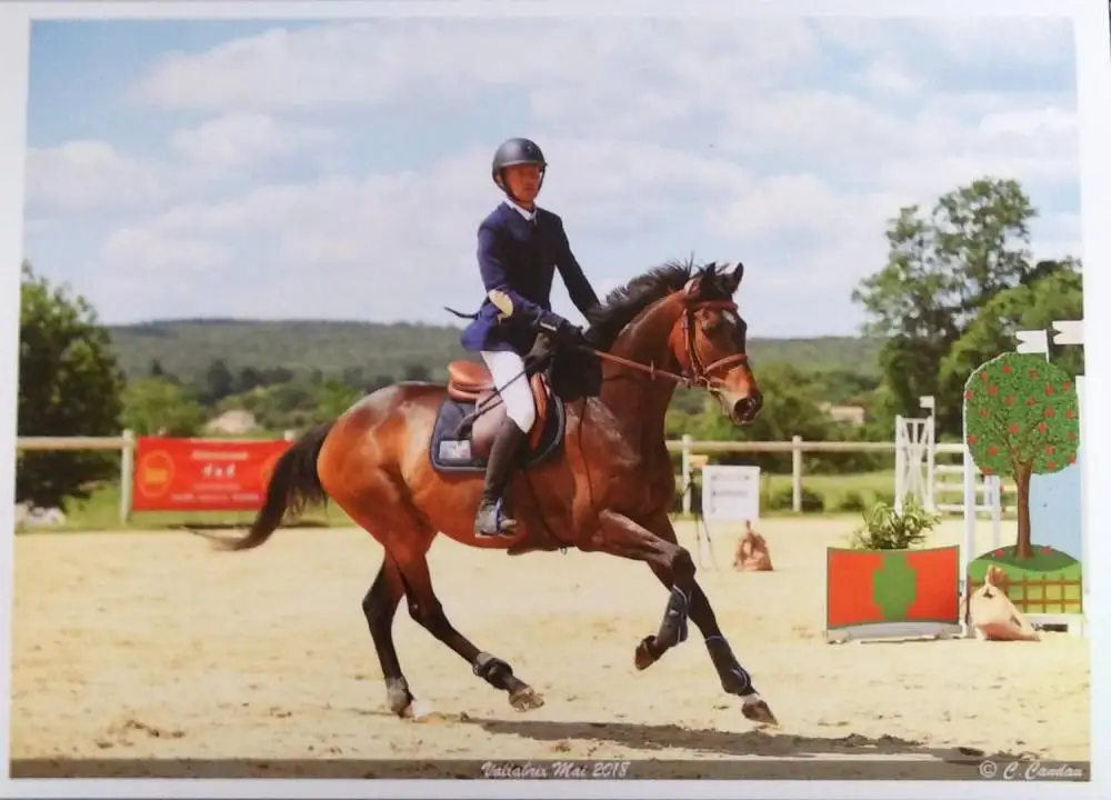Carpe Diem Centre Equestre