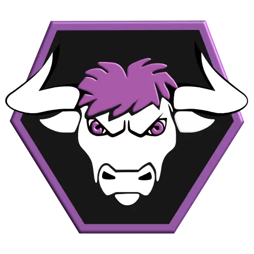 Bolsover Bulls RFL Club