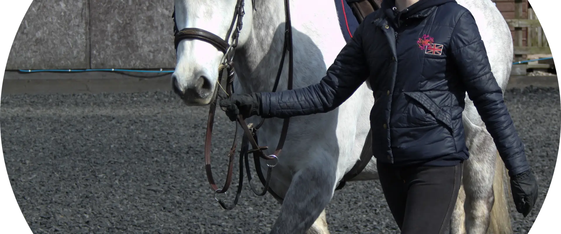 Equus Riding