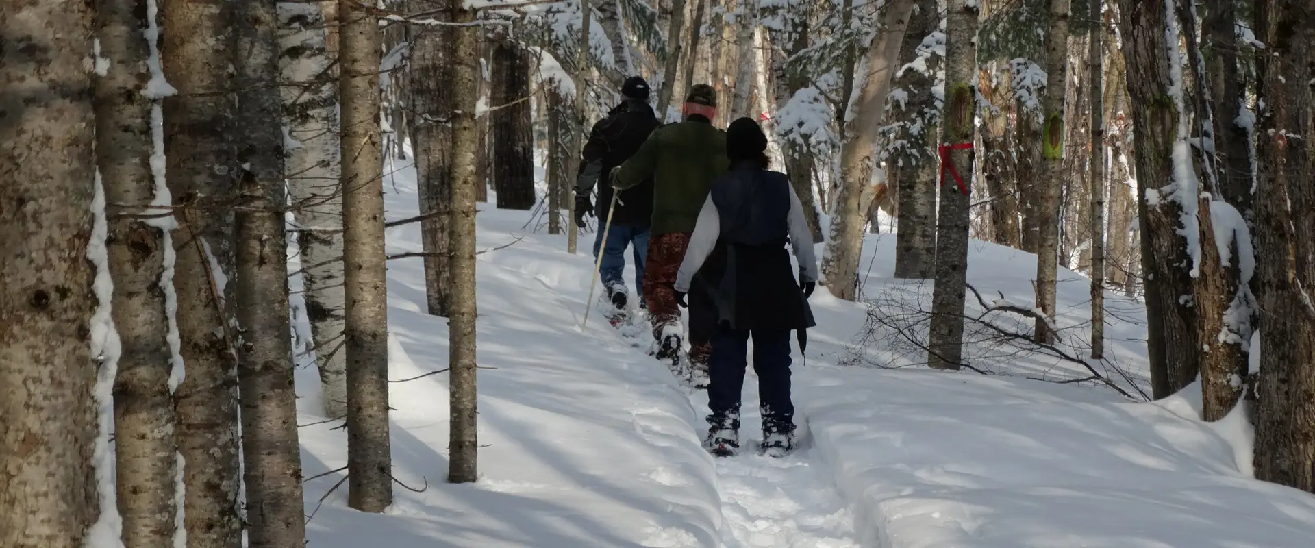 Centre de ski de fond Grande-Rivre
