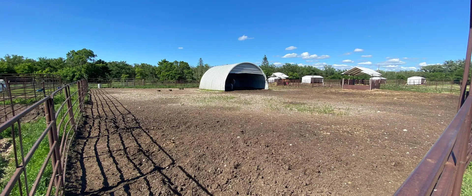 Miracle Ranch