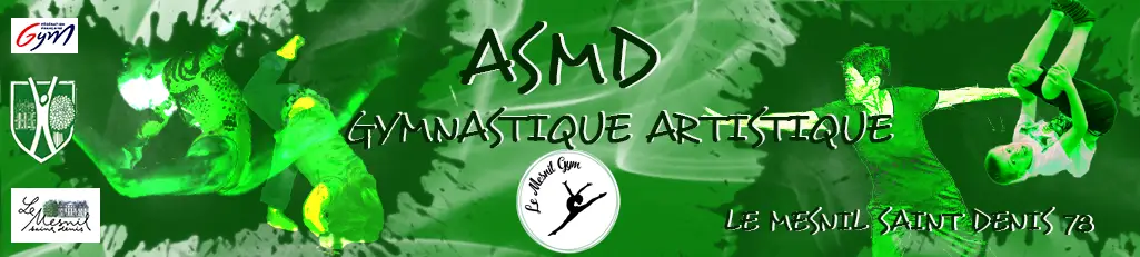 Asmd Gymnastique : Gymnastique Artistique, Baby Gym, Urban Gym Et Gym+ Santé Adultes