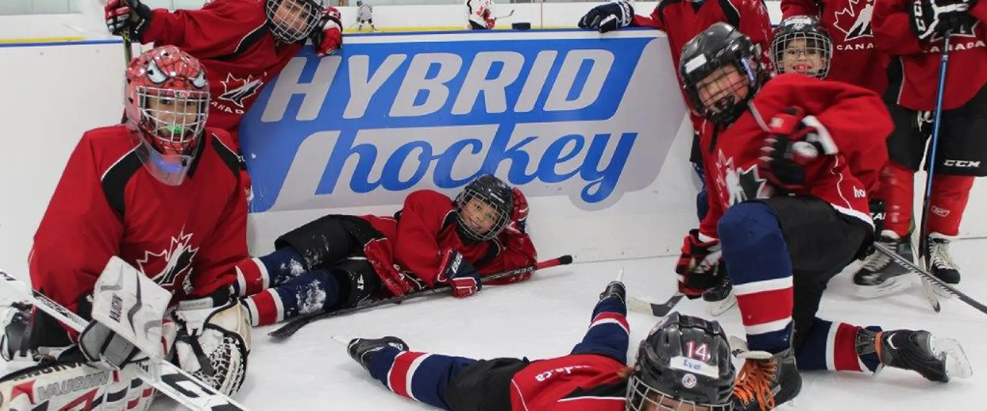 Hybrid Hockey
