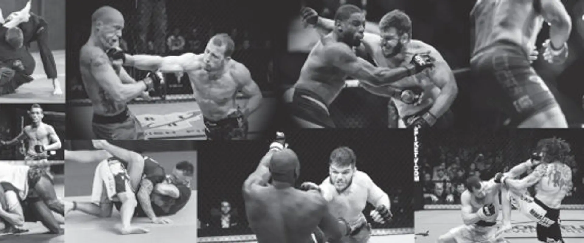 Bushido Académie : MMA, Jiu-jitsu brésilien, baby arts martiaux,