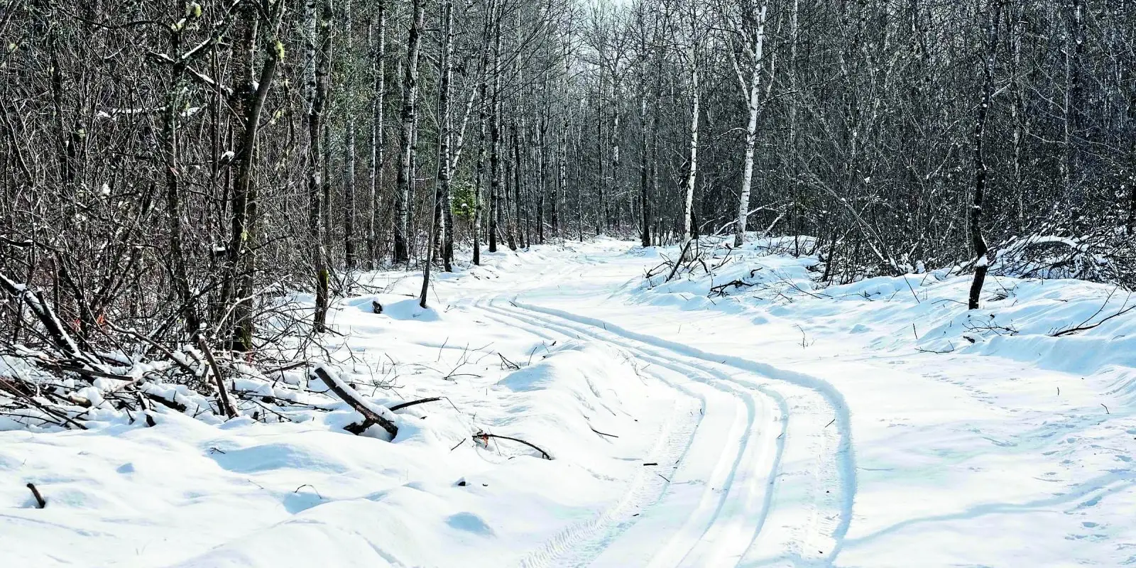 Club de ski de fond La Tuque rouge