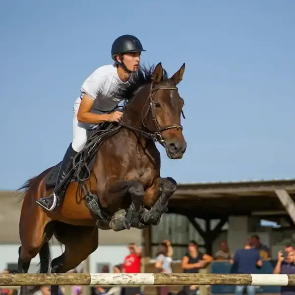 M&N Equitation; Centre Equestre