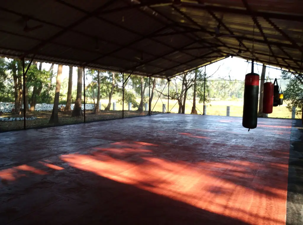 Warrior Training & Fitness