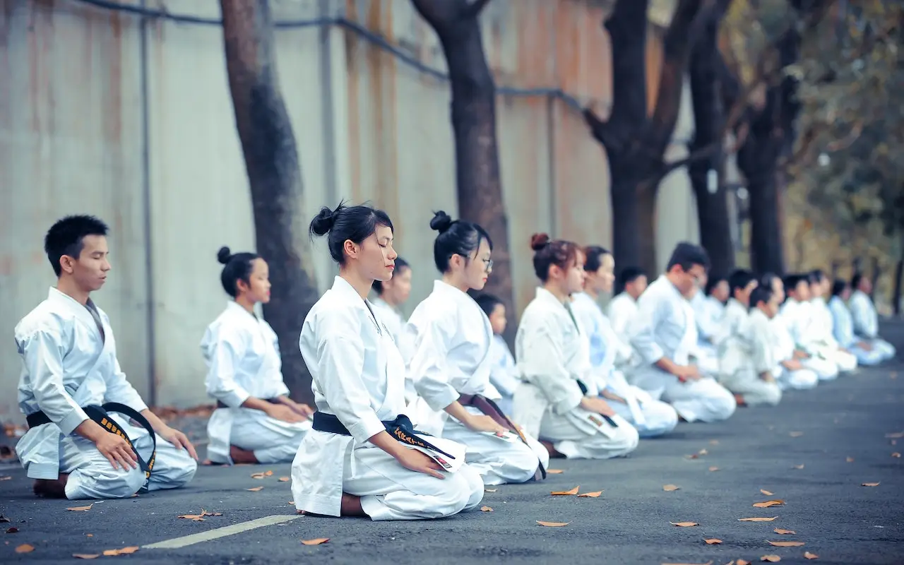 Seishin karate do