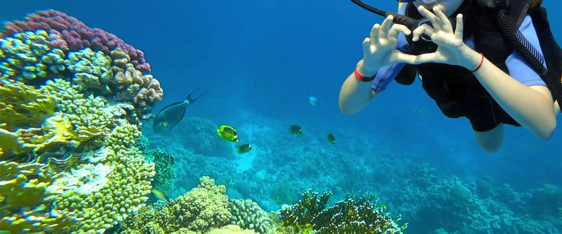 Manta Club
