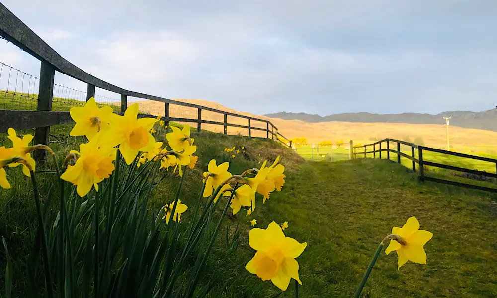 Carlingford Yoga - Eagles Rock Retreat
