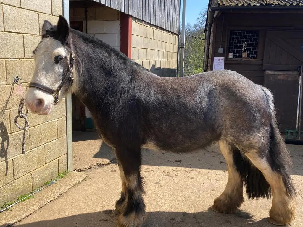 Greenways Stables