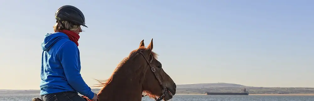 Carmen's Riding School