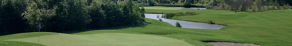 Ballyneety Golf Club
