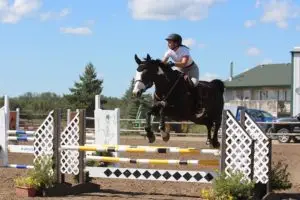 Blarney Stone Farms