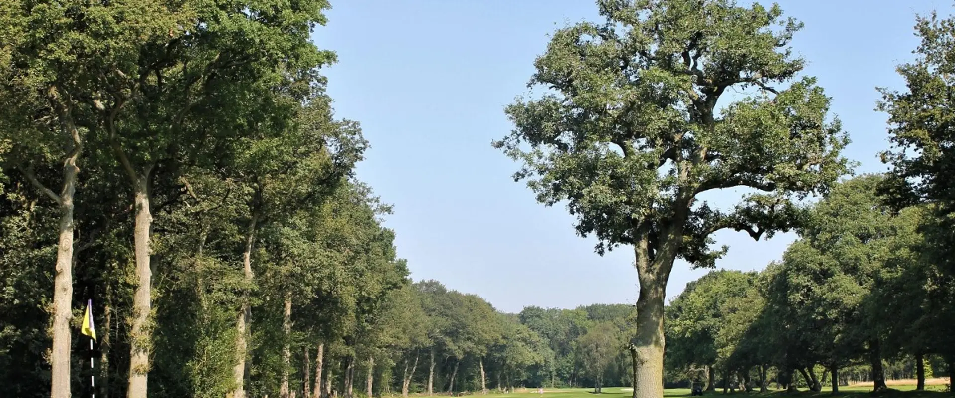 Ladbrook Park Golf Club