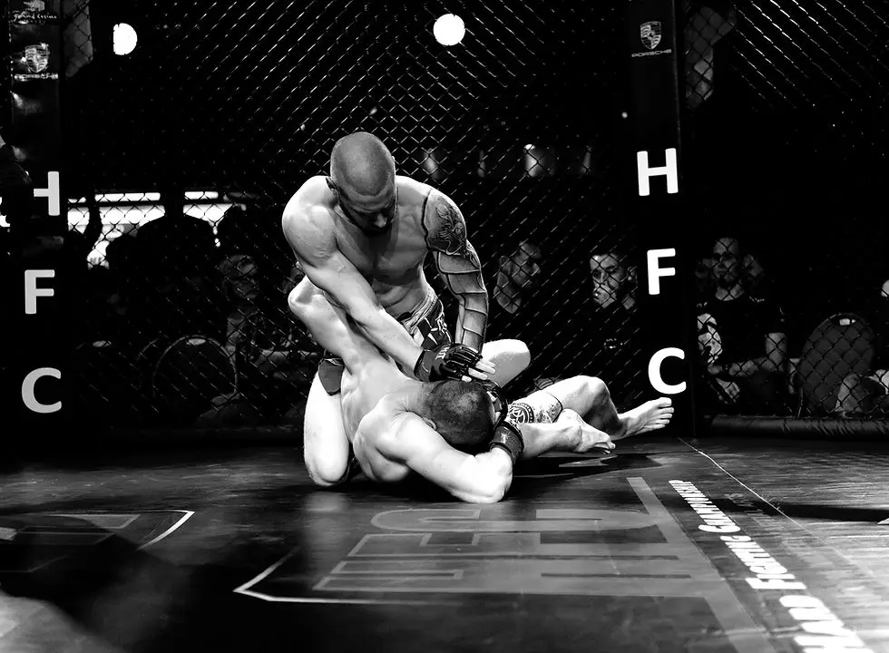 Gladiator Fight Club (MMA Verdun)