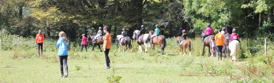 Kinsale Equestrian Centre
