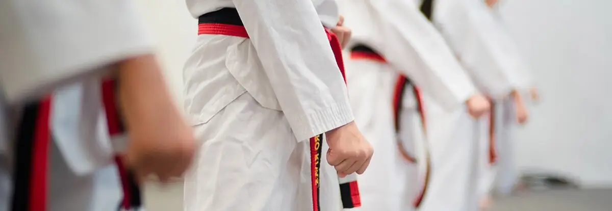 Trifecta Martial Arts (River Valley)