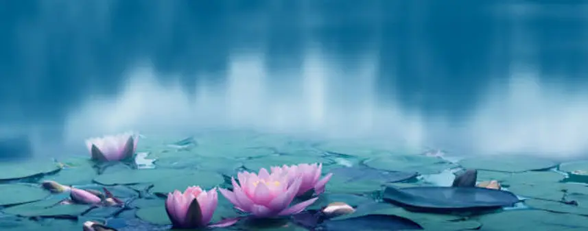 Meditation Saintes