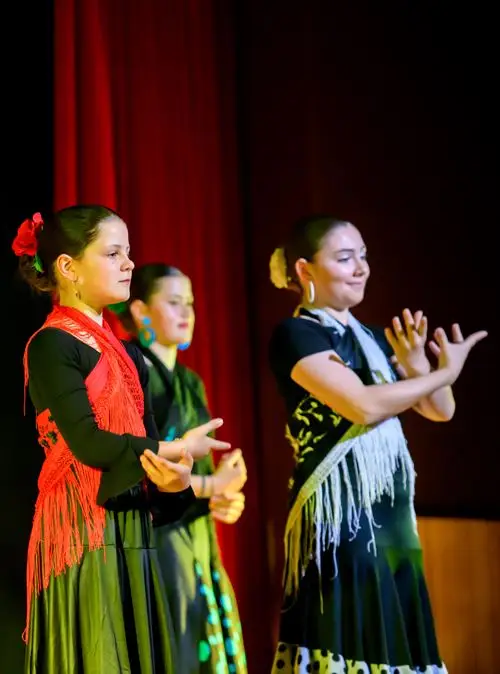 Association Andaluna Flamenca TRELISSAC