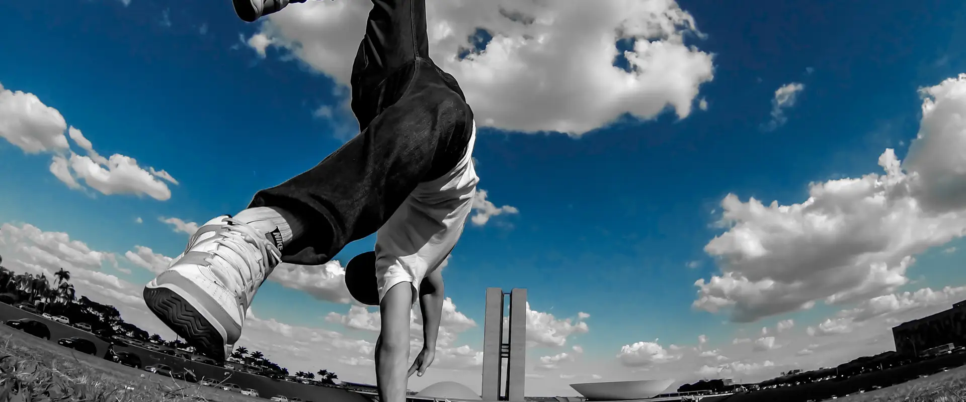 OLYMPIC FUN & FITNESS & THE WILDING PROJECT