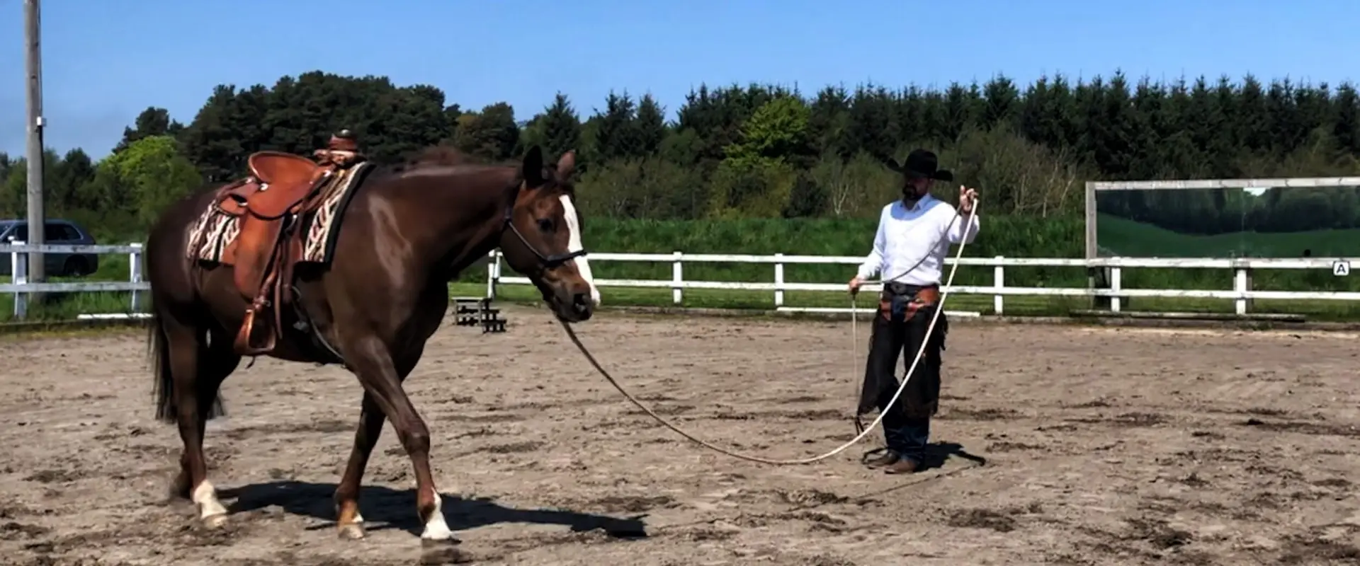The Meadows Equestrian