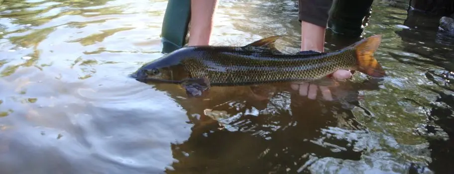 Stages de Pêche en Aveyron