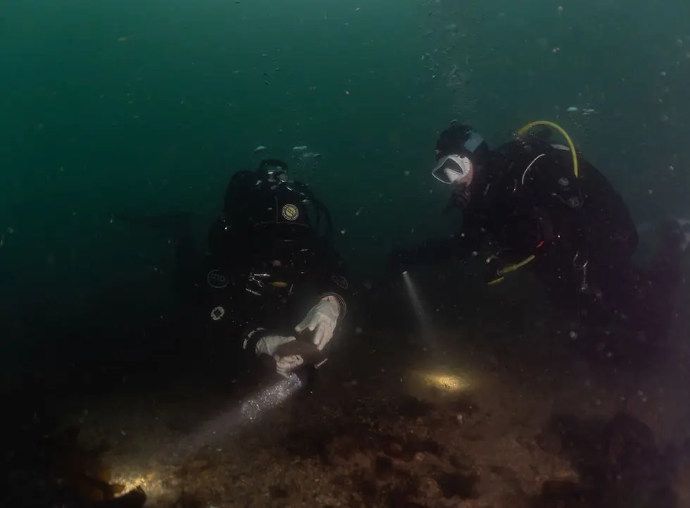 Potteries Divers BSAC12