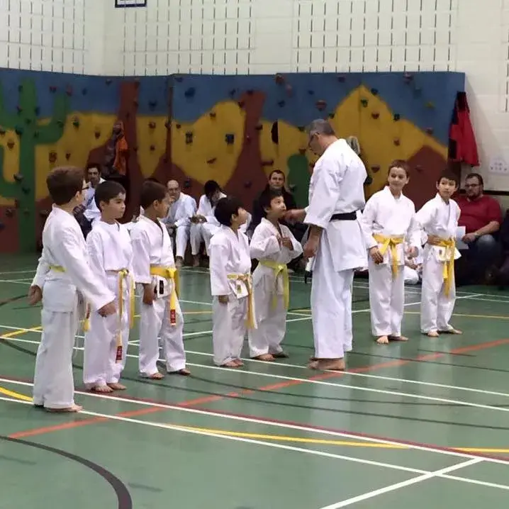 Centre d'Arts Martiaux Dojo K de Terrebonne