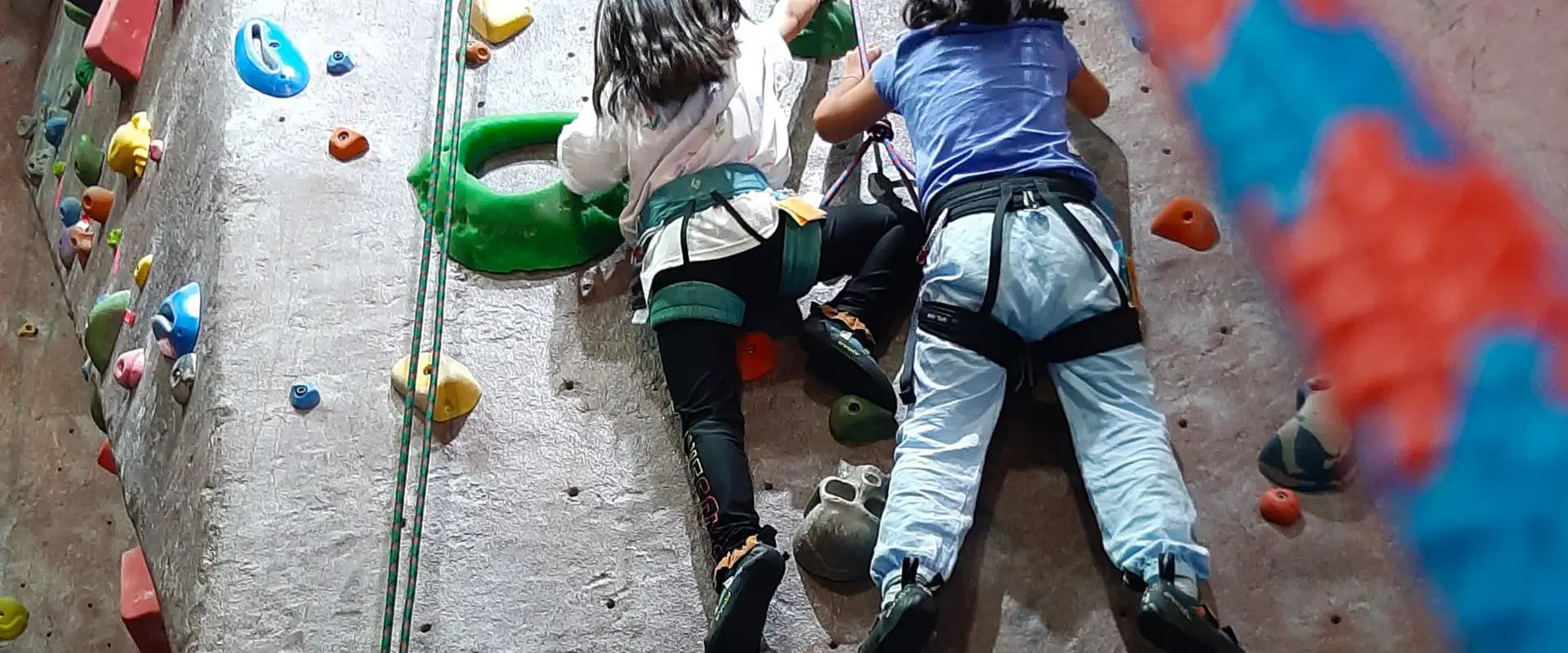 Vertically Inclined Rock Gym