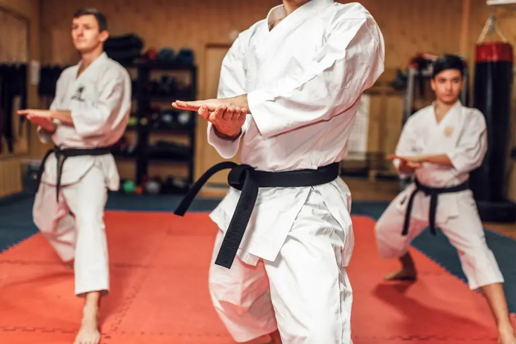 Shentie Martial Arts Academy