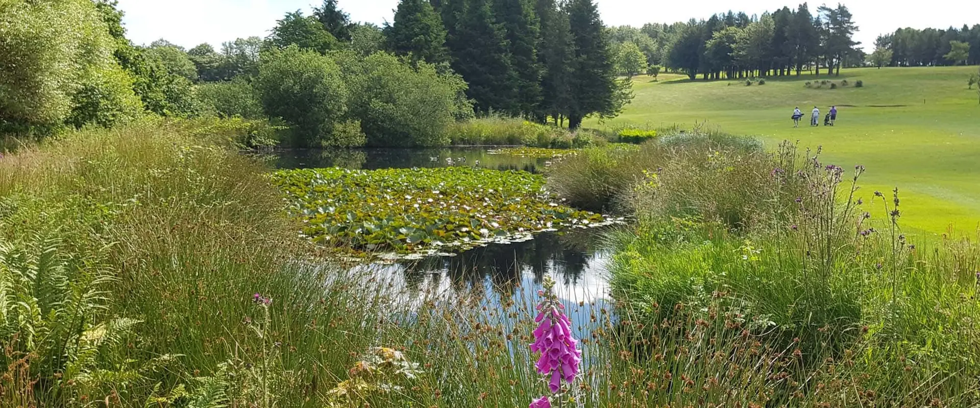 The Mendip Golf Club