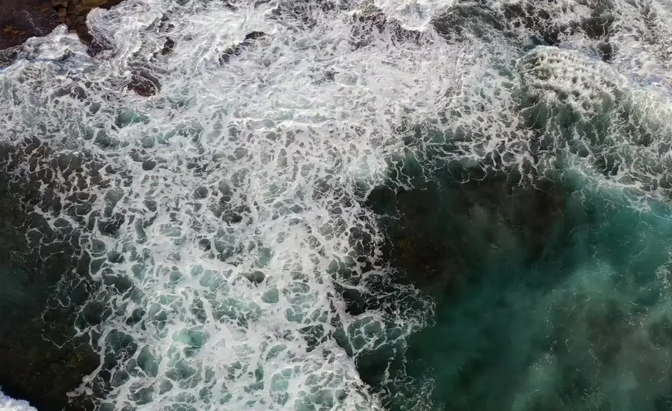 Koala Surf School