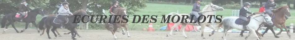 ECURIES DES MORLOTS