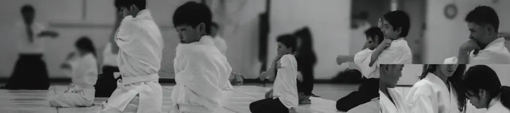 Aikido Tenshindo Wellington