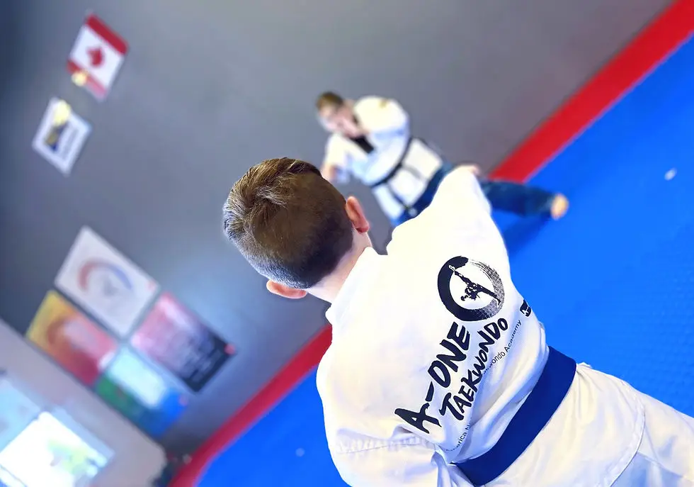 A-one Taekwondo | Hamptons | Edmonton