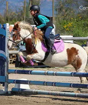 Ajaccio Riding Aiacciu Equitazioni