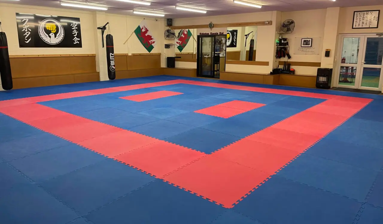 Wales Karate Association