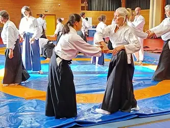 Aikido Décines 69