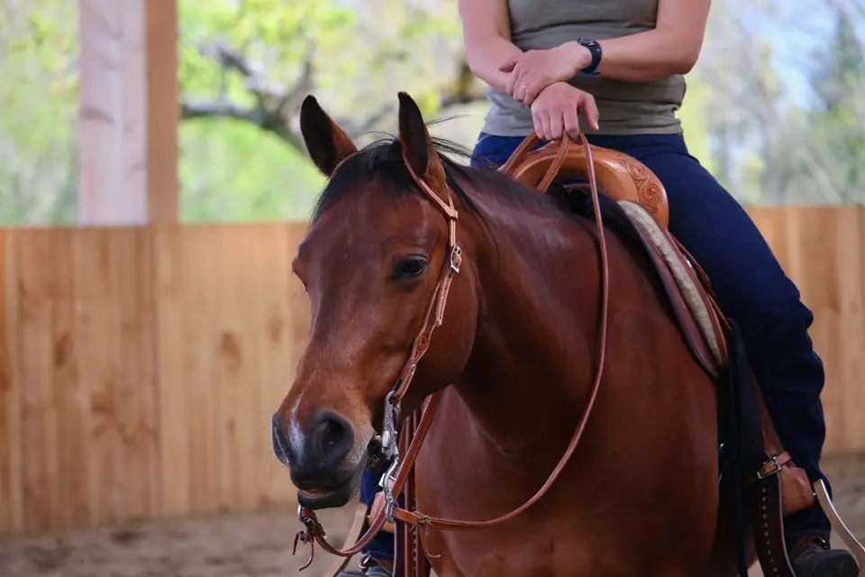 Nature Western Equitation - Babeth Tréhin
