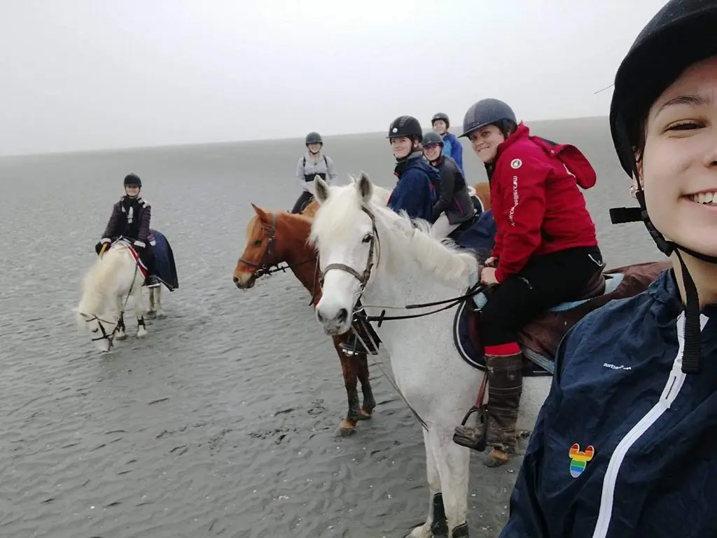 ECOLE D EQUITATION DE LAMORLAYE