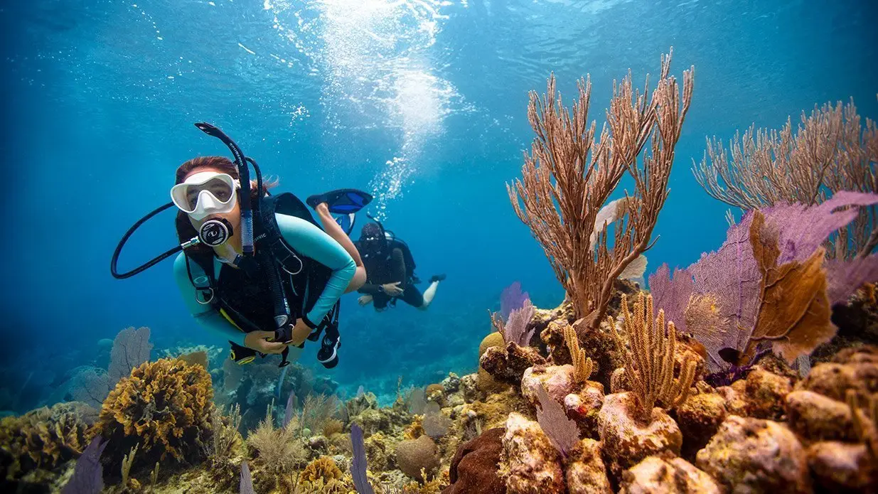 PADI Europe, Middle East & Africa (EMEA)